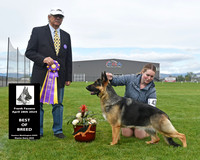 Eastern Washington Frank Fasano
