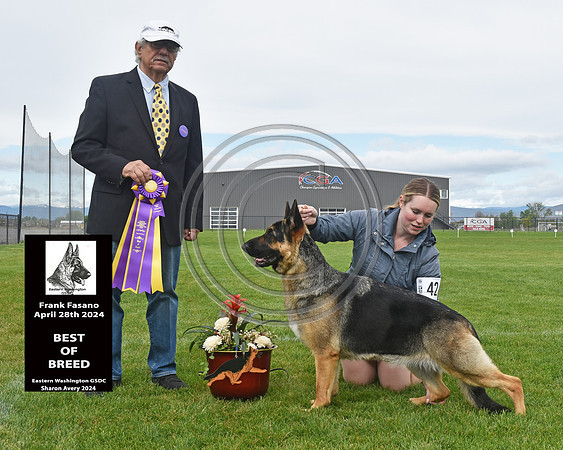 Best of Breed