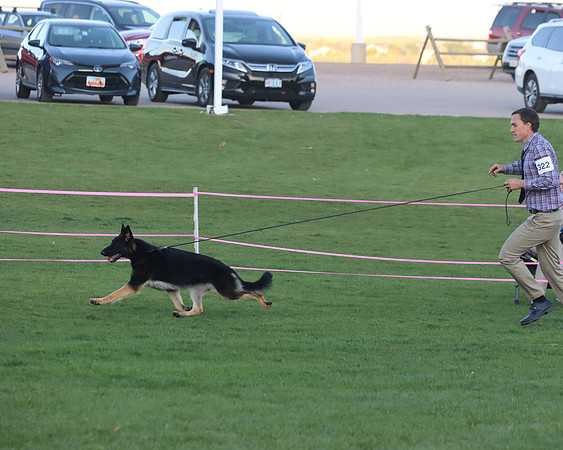 Best of Breed
