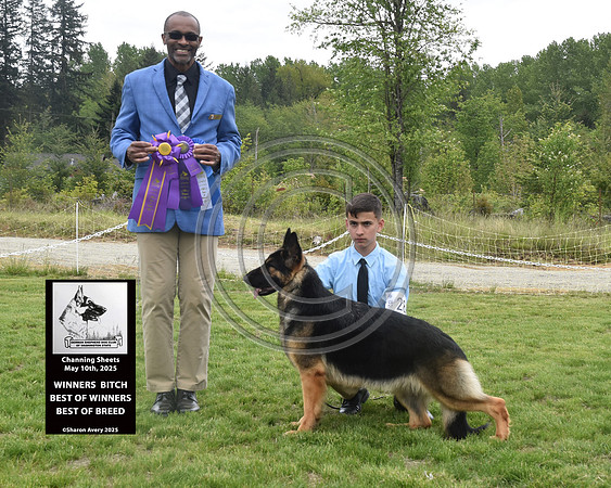 Winners Bitch Best of Winners Best of Breed