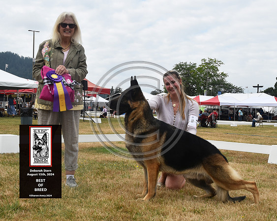 Best of Breed