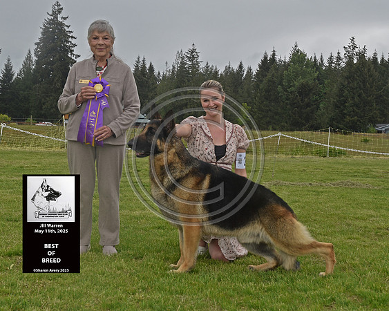 Best of Breed