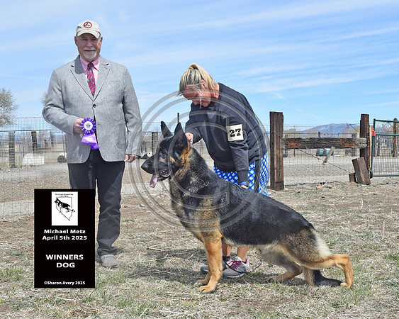 Winners Dog