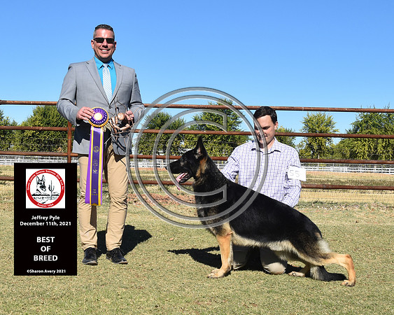 Best Of Breed