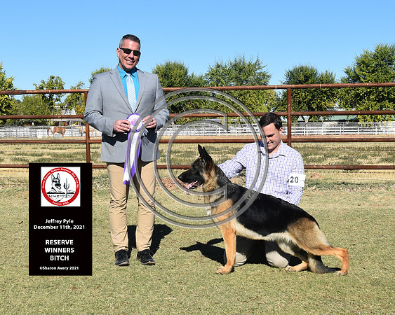 Reserve Winners Bitch