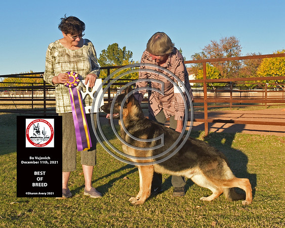 Best of Breed