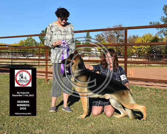 Reserve Winners Dog