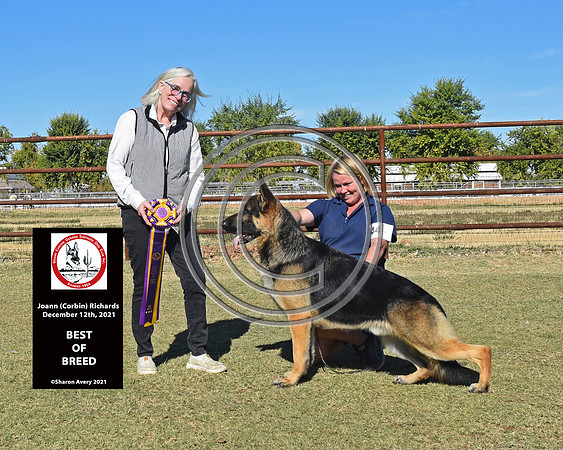 Best of Breed