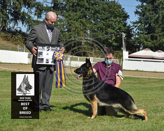 Best of breed