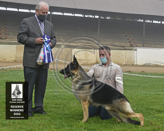 Reserve Winners Dog