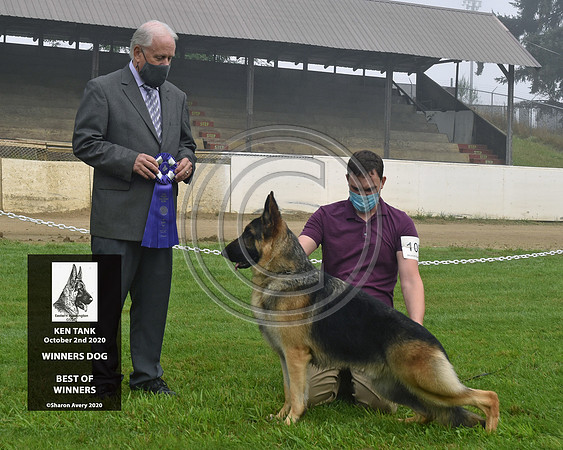 Winners Dog Best of Winners