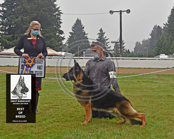 Best of Breed