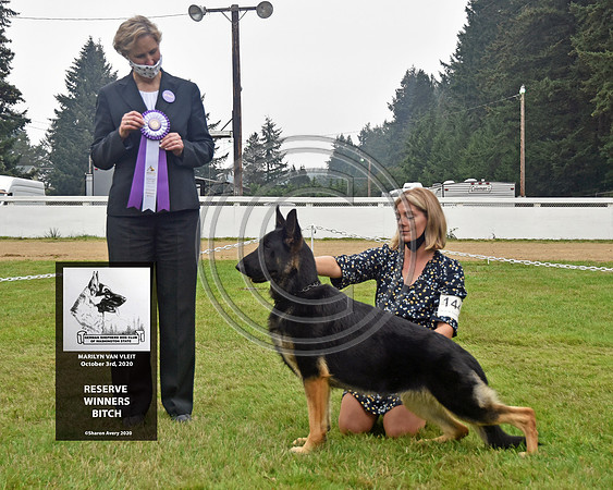 Reserve Winners Bitch