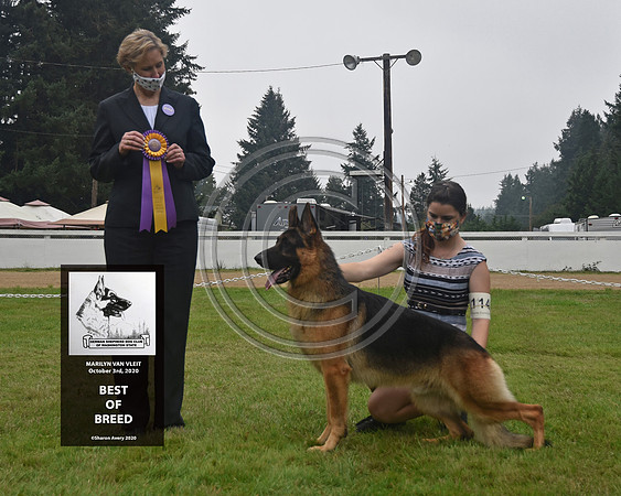 Best of Breed