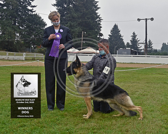 Winners Dog