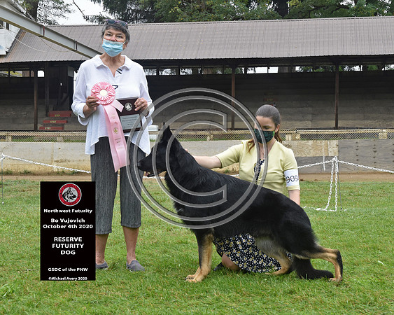 Reserve Futurity Dog