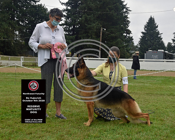 Reserve Maturity Dog