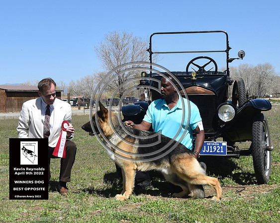 Winners Dog Best Opposite