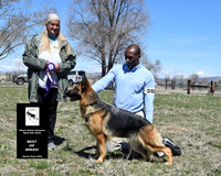 GSDC of Reno - Diane Silver-Strasser