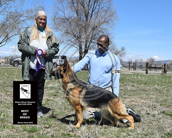 Best of Breed