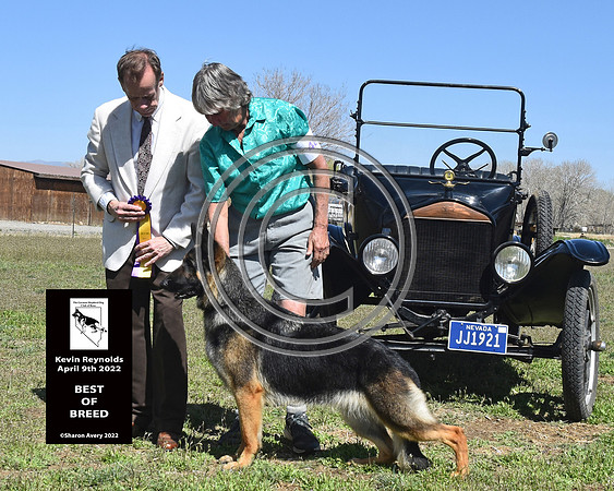 Best of Breed