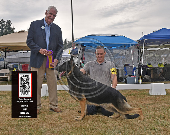 Best of Breed
