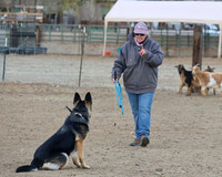 Herding Instinct