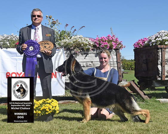 Winners Dog