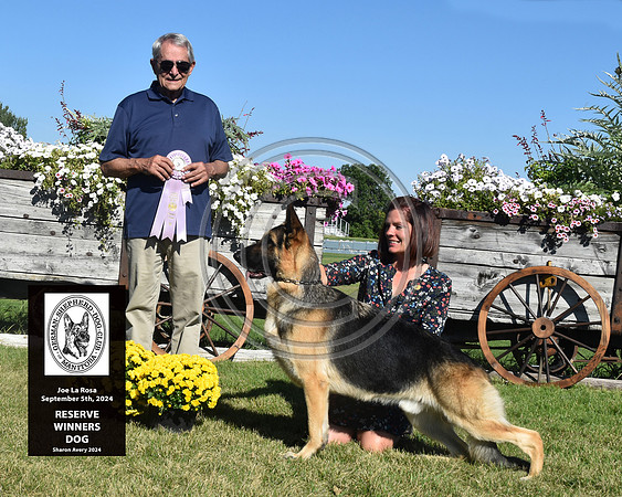 Reserve Winners Dog