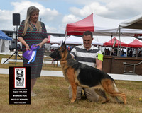 Winners Dog Best of Winners