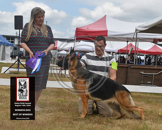 Winners Dog Best of Winners