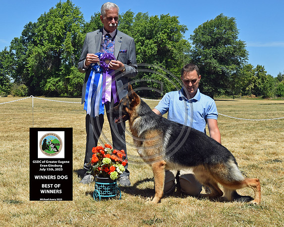 Winners Dog Best of Winners