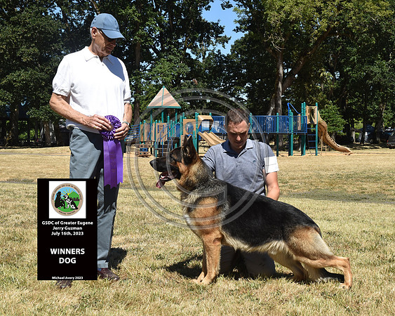 Winners Dog