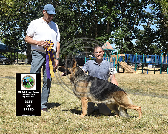Best of Breed