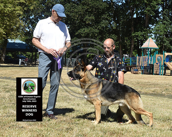 Reserve Winners Dog