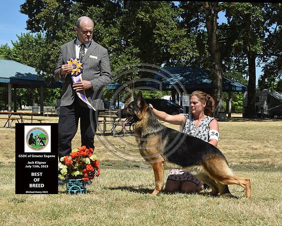 Best of Breed