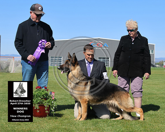 Winners Dog New Champion