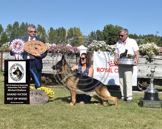 Grand Victor Best of Breed