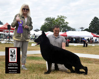 Winners Dog