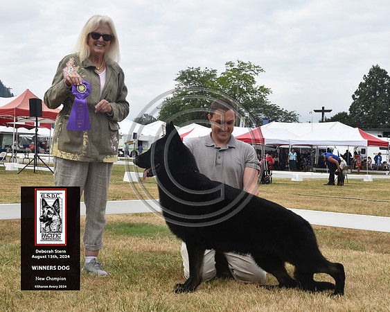 Winners Dog