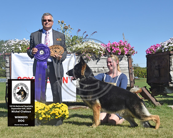Winners Dog