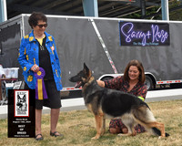 GSDC Pacific Northwest - Gloria Birch