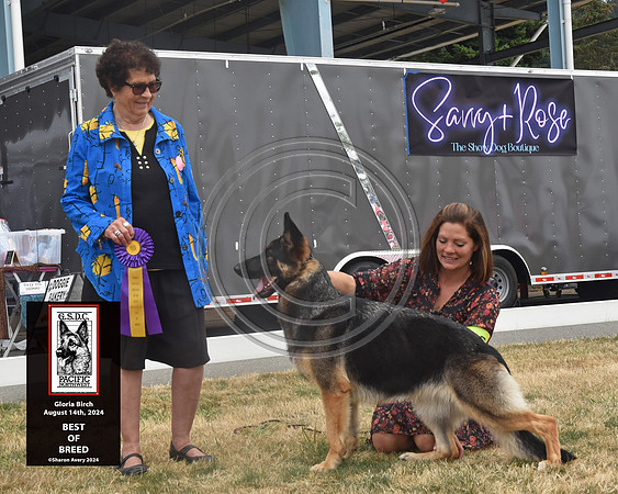 Best of Breed