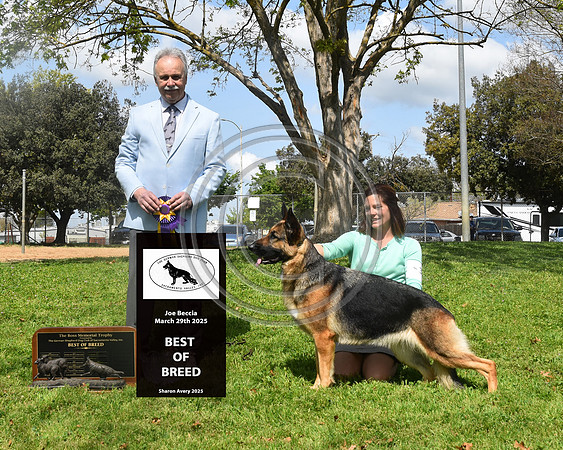 Best Of Breed