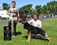 South Pacific Region Futurity,Maturity