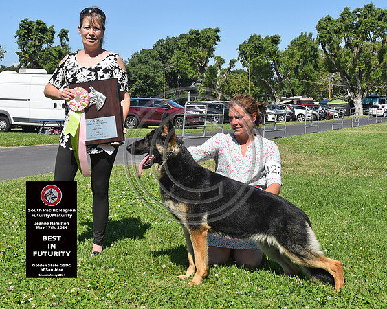 Best in Futurity