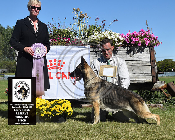 Reserve Winners Bitch