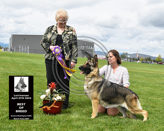 Best of Breed