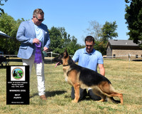 Winners Dog Best Puppy