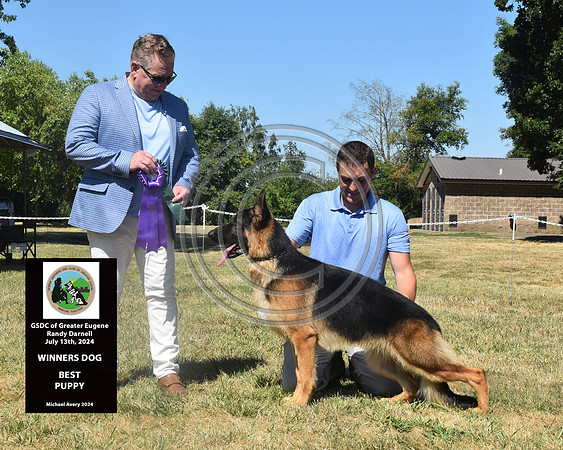 Winners Dog Best Puppy